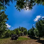 Casa Sull'albero Bocchineri Rogliano