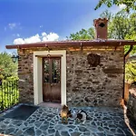 Casa Sull'albero Bocchineri *