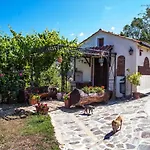 Casa Sull'albero Bocchineri *