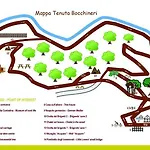 Casa Sull'albero Bocchineri