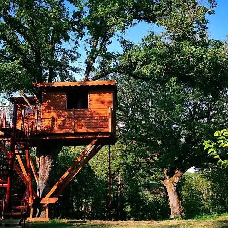 Casa Sull'albero Bocchineri 3* Rogliano