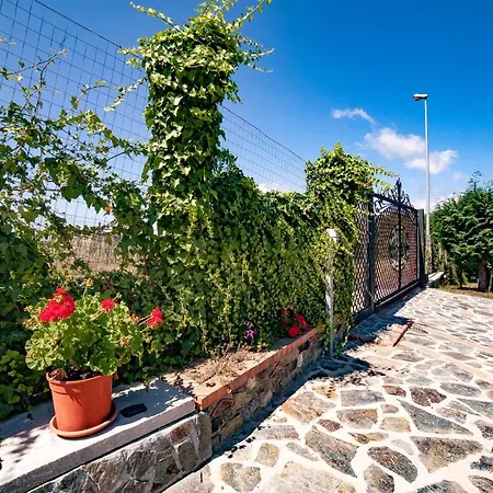 בית נופש Casa Sull'albero Bocchineri *