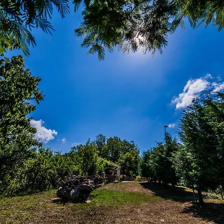 Casa Sull'albero Bocchineri Rogliano