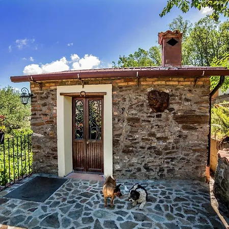 Casa Sull'albero Bocchineri *