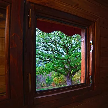 Dom wakacyjny Casa Sull'albero Bocchineri *