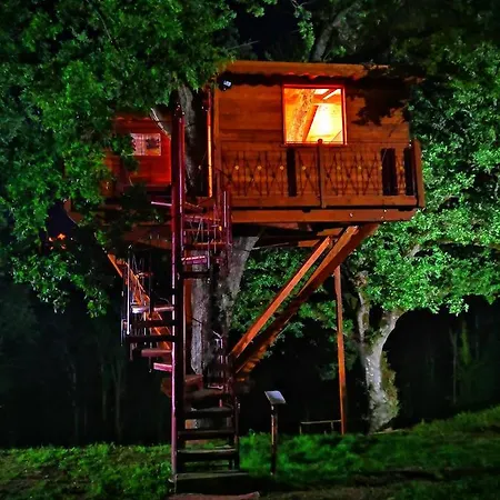Casa Sull'albero Bocchineri Frühstückspension Rogliano