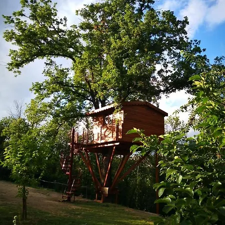 Casa Sull'albero Bocchineri 3*