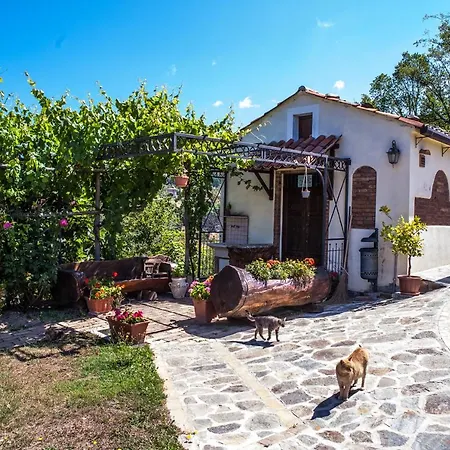 Casa Sull'albero Bocchineri *