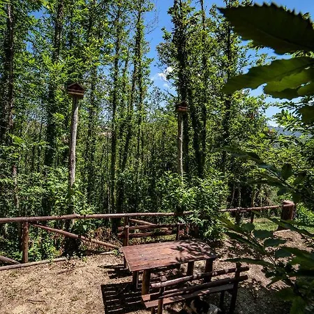 Casa Sull'albero Bocchineri Rogliano