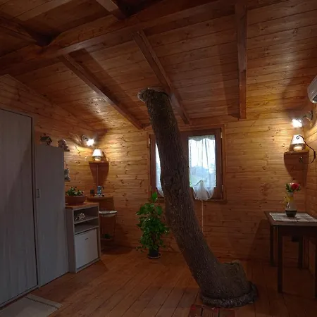 فندق مبيت وإفطار Casa Sull'albero Bocchineri Rogliano