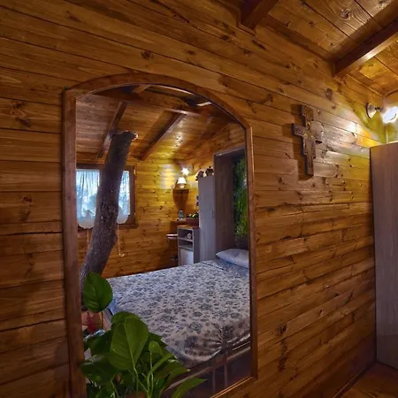 Casa Sull'albero Bocchineri Semesterbostad
