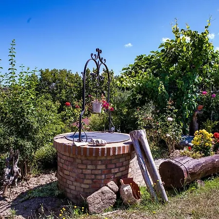 Casa Sull'albero Bocchineri Rogliano