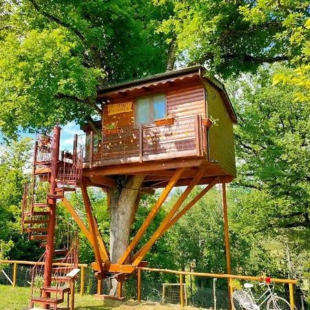 Casa Sull'albero Bocchineri *