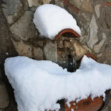 Casa Sull'albero Bocchineri Rogliano