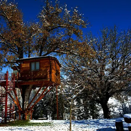 Casa Sull'albero Bocchineri