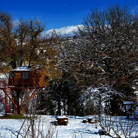 Casa Sull'albero Bocchineri Frühstückspension