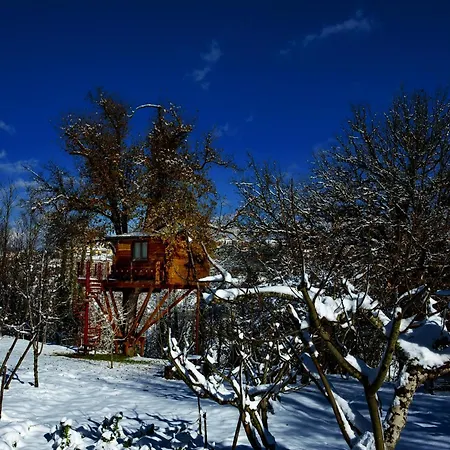 Casa Sull'albero Bocchineri فندق مبيت وإفطار 3*