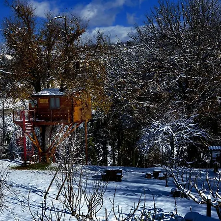 فندق مبيت وإفطار Casa Sull'albero Bocchineri