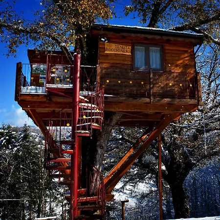 Casa Sull'albero Bocchineri فندق مبيت وإفطار