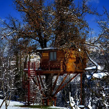Casa Sull'albero Bocchineri 3* Rogliano