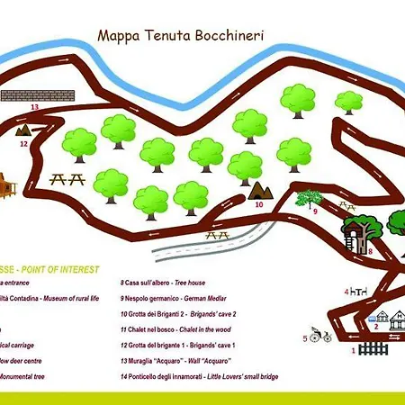 Casa Sull'albero Bocchineri