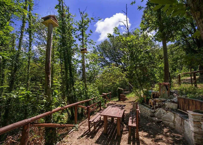 度假居 Casa Sull'albero Bocchineri