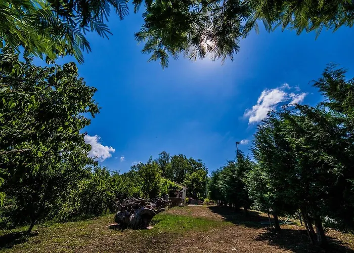 Casa Sull'albero Bocchineri Rogliano