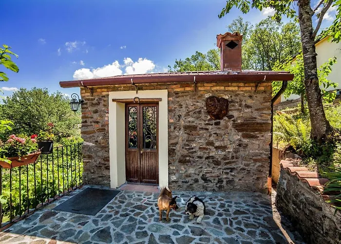 Casa Sull'albero Bocchineri *