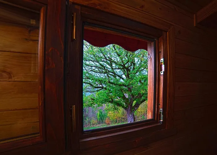 度假居 Casa Sull'albero Bocchineri *