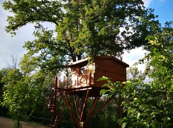 Casa Sull'albero Bocchineri *