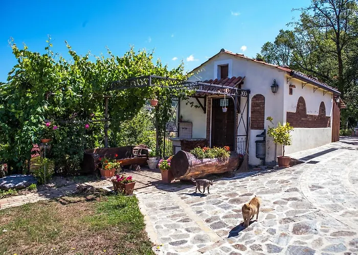 Casa Sull'albero Bocchineri *