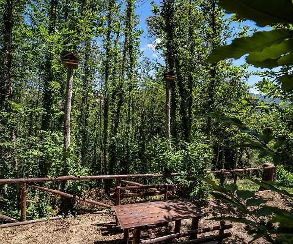 Casa Sull'albero Bocchineri Rogliano