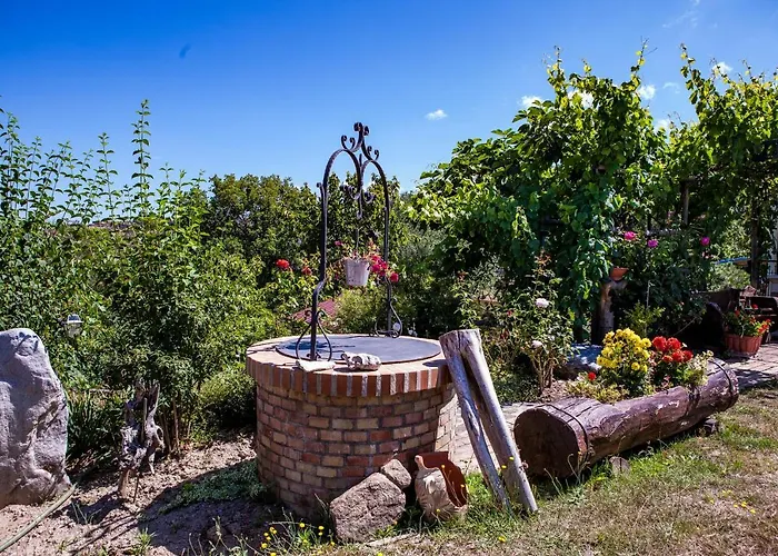 Casa Sull'albero Bocchineri Rogliano