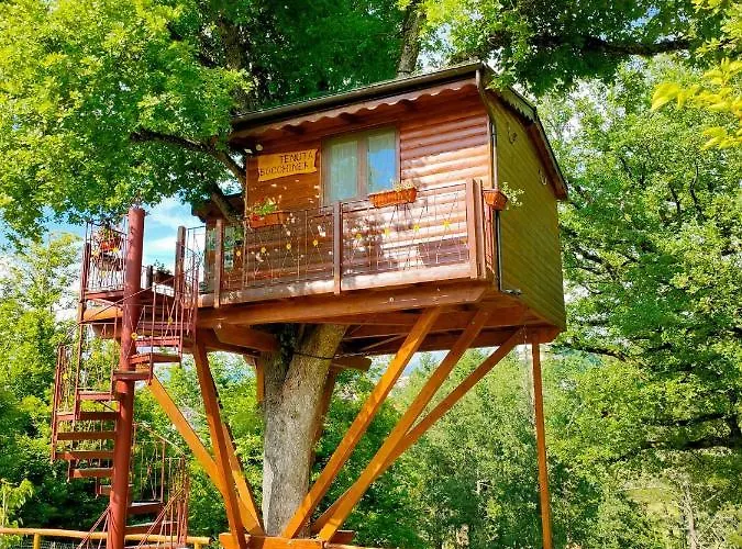 Casa Sull'albero Bocchineri *