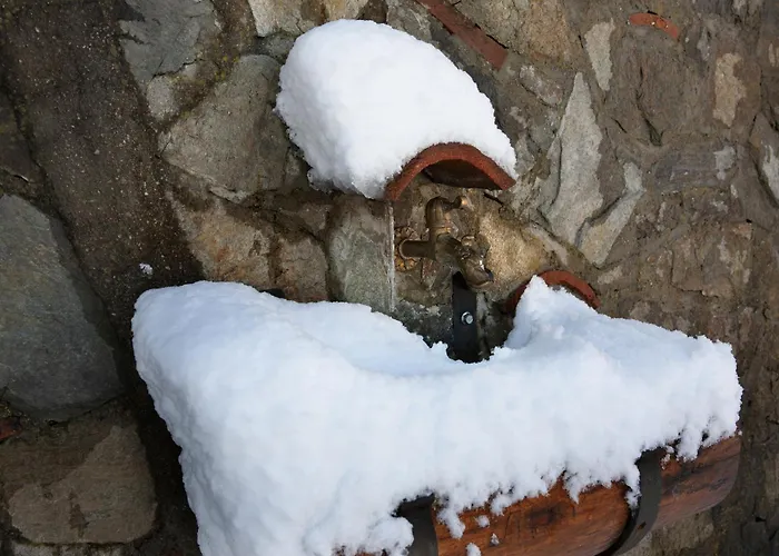 Casa Sull'albero Bocchineri Rogliano