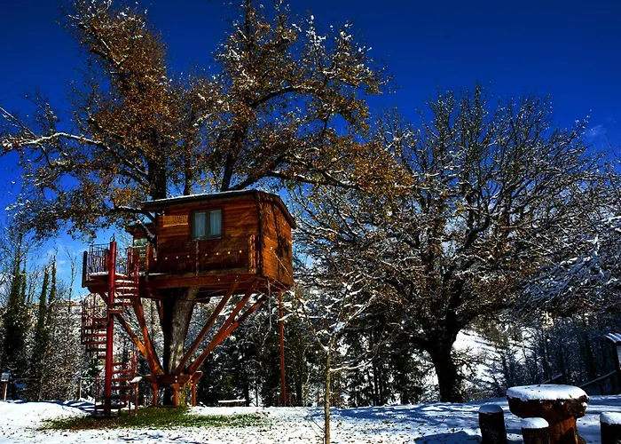 Casa Sull'albero Bocchineri