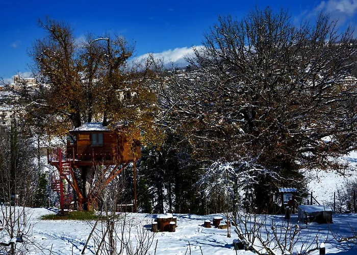 Casa Sull'albero Bocchineri 度假居