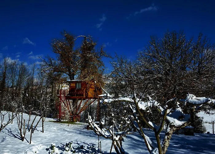 Casa Sull'albero Bocchineri 度假居 *