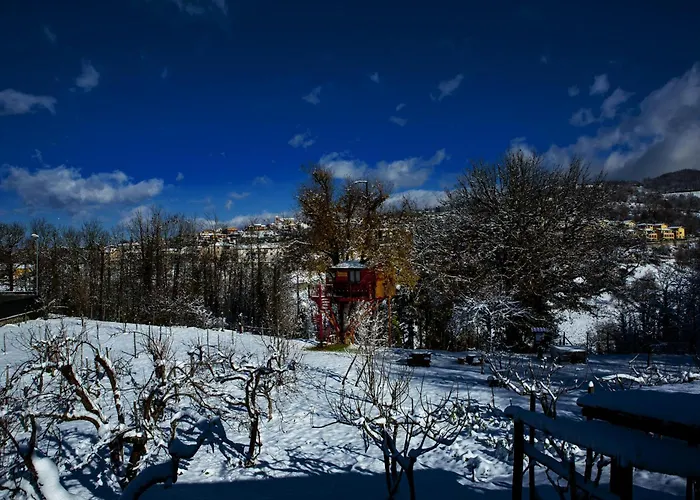 Casa Sull'albero Bocchineri *