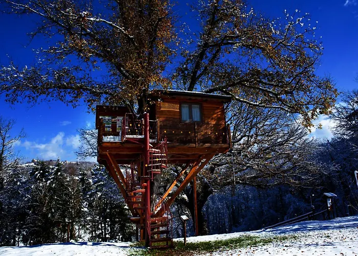 Casa Sull'albero Bocchineri * Rogliano