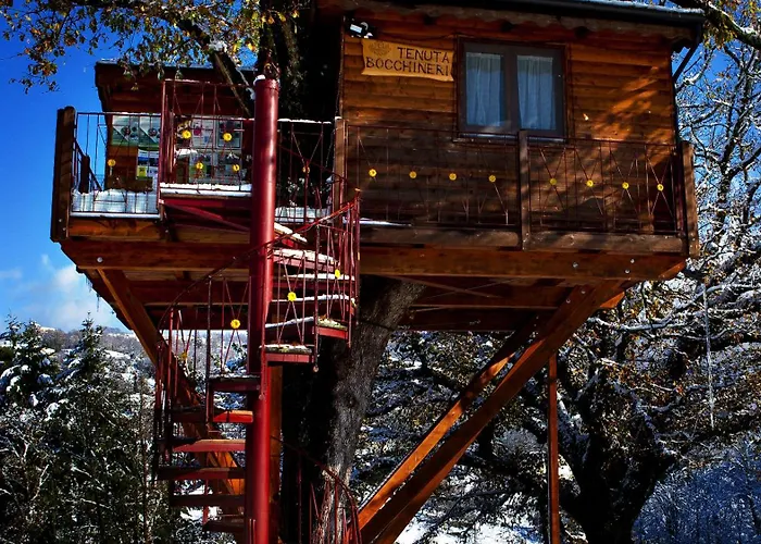 Casa Sull'albero Bocchineri 度假居