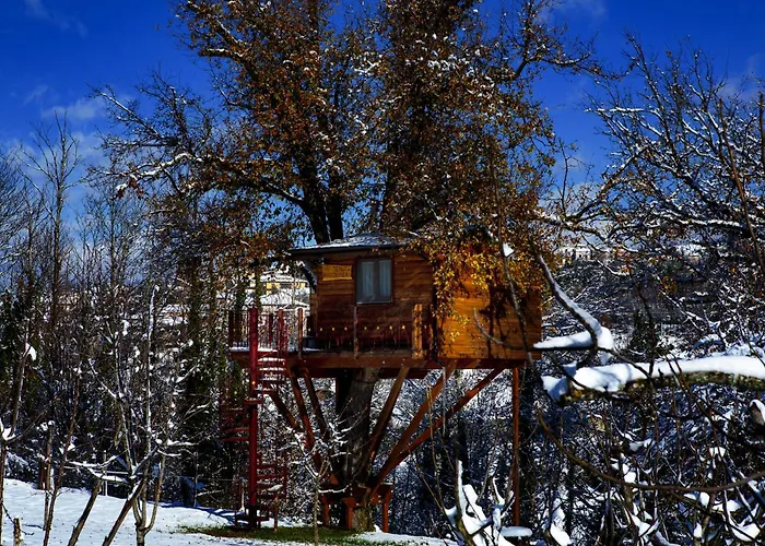 Casa Sull'albero Bocchineri * Rogliano